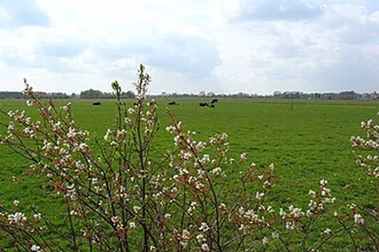 elektricien in Ansen