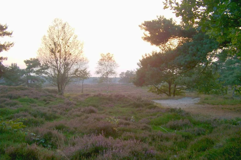 elektricien in Bakkeveen