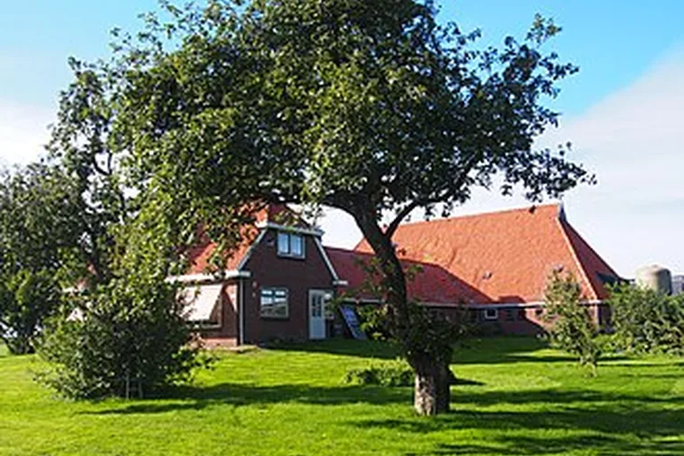 elektricien in De Wilgen