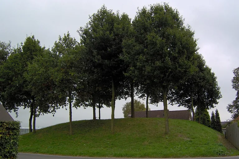 elektricien in Delwijnen