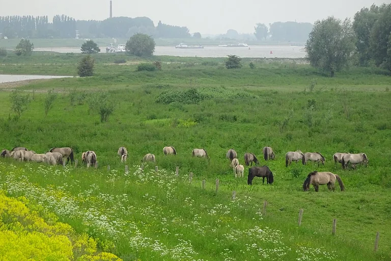 elektricien in Erlecom