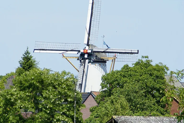 elektricien in Giesbeek