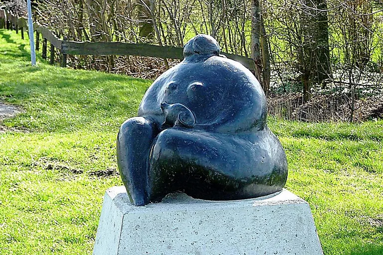 elektricien in Kolderwolde