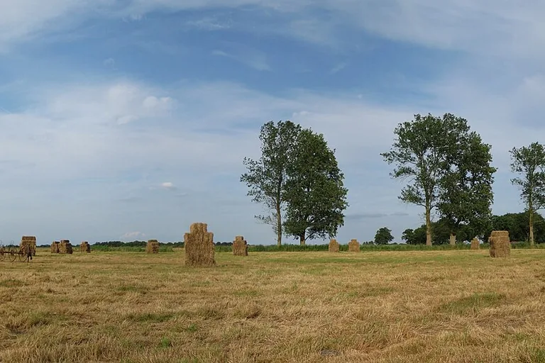 elektricien in Leutingewolde
