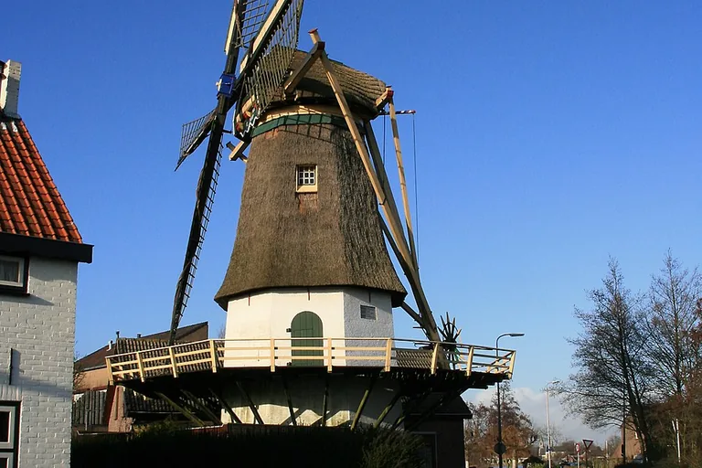 elektricien in Maasdam