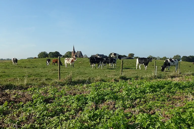 elektricien in Persingen