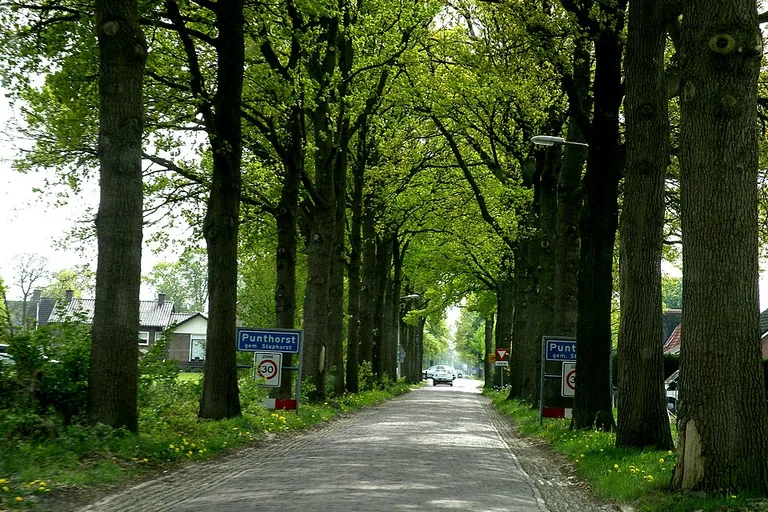 elektricien in Punthorst