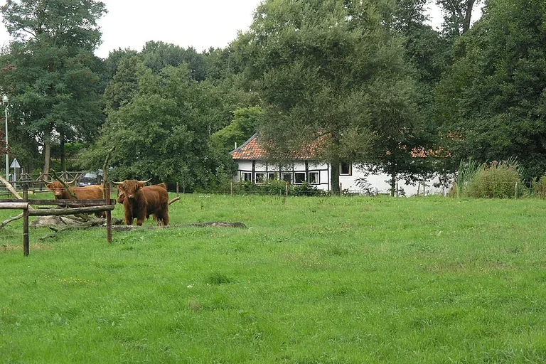 elektricien in Reuver