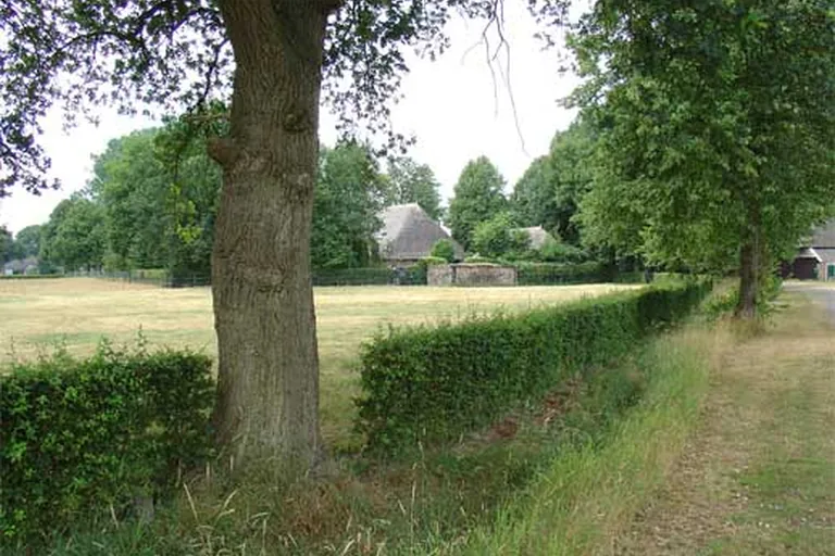 elektricien in Rheeze