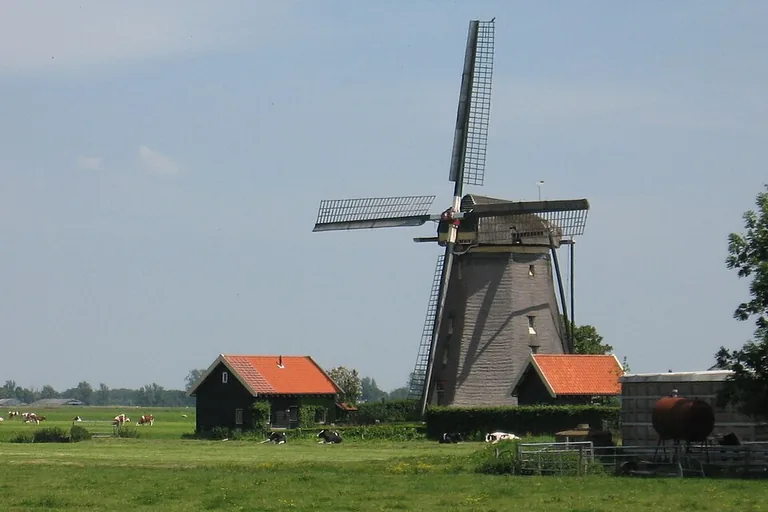 elektricien in Zwammerdam